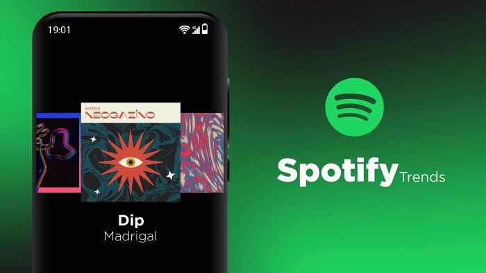 Spotify Playlist Trends